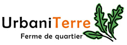 Moutarde Wasabi (Micropousse) – UrbaniTerre